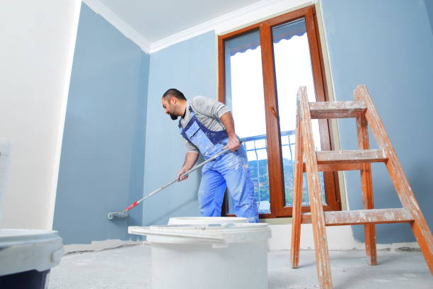 Reliable Show Low, AZ Mold Removal Solutions