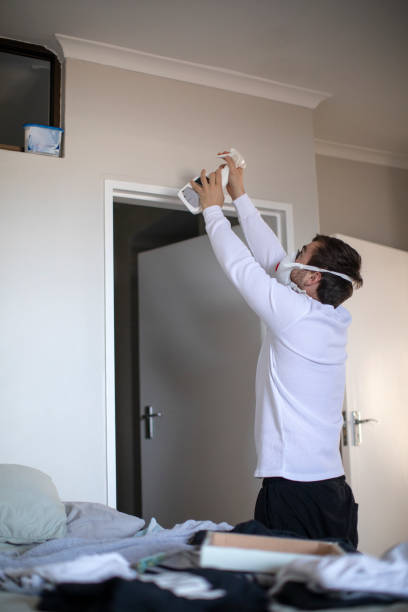 Best Asbestos and Lead Testing During Mold Inspection  in Show Low, AZ