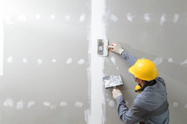 Environmental Consulting for Mold Prevention in Show Low, AZ