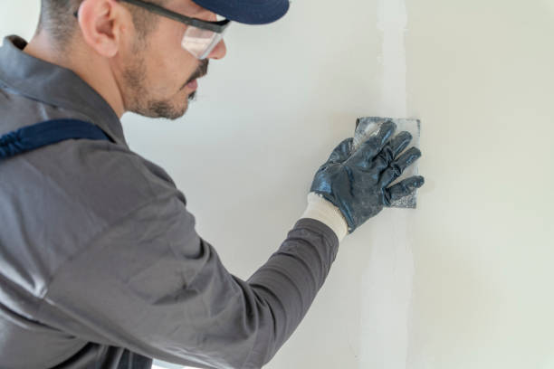 Best Attic Mold Removal  in Show Low, AZ