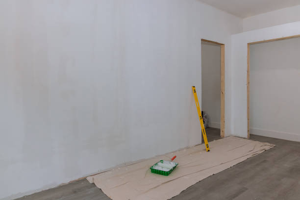 Best Basement Mold Removal  in Show Low, AZ
