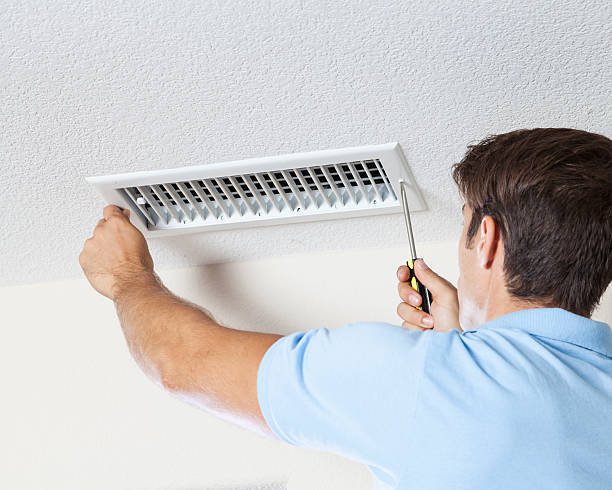 Best Mold Documentation for Insurance Claims  in Show Low, AZ