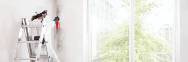 Best Residential Mold Inspection & Testing  in Show Low, AZ
