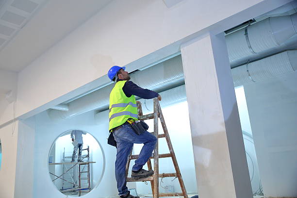 Best Post-Construction Mold Inspection  in Show Low, AZ