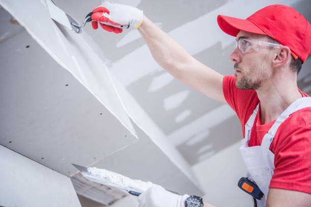 Mold Remediation for Vacation Homes in Show Low, AZ