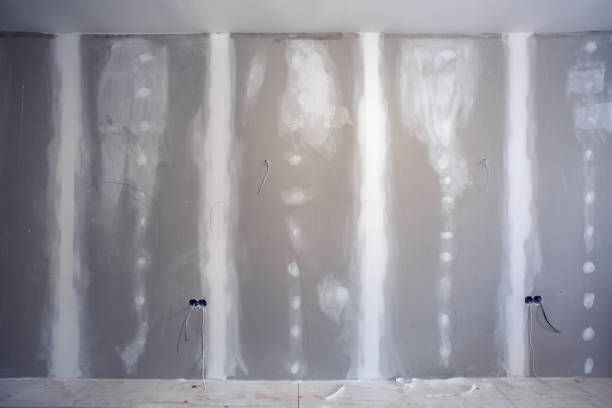 Best Dehumidification Services  in Show Low, AZ